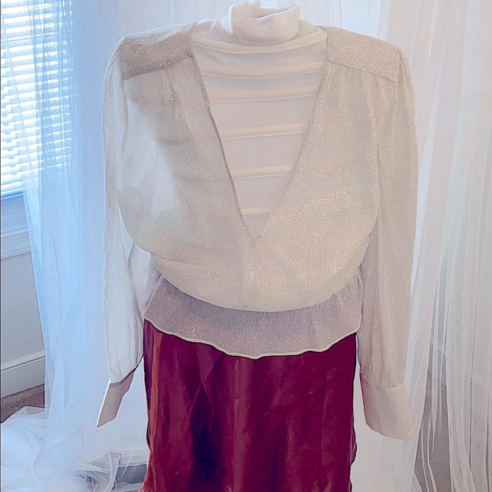 Size Small, silver, sheer, v- neck glittery blouse